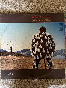 Pink Floyd - Delicate Sound of Thunder 2LP