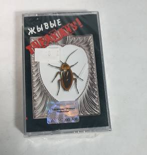 Тараканы жывые тараканы MC cassette