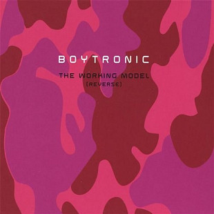 Boytronic 2003 The Working Model (Reverse) (Synth-pop)