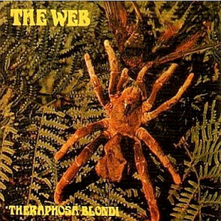 The Web – Theraphosa Blondi -69 (07)