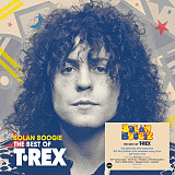 Вініл платівки T. Rex Tyrannosaurus Rex