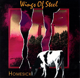 Wings Of Steel – Homesick