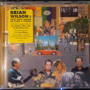 Brian Wilson ‎– Gettin' In Over My Head 2004 (EU)