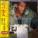 CJ Lewis ‎– Feel My Vibe OBI 1996 (JAP)
