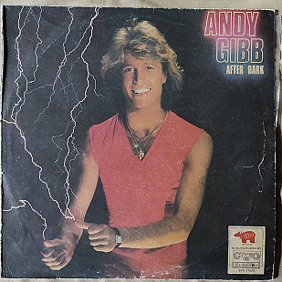 Andy Gibb – After Dark