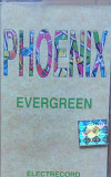 Группа "Рhoenix". Evergreen. (1995).