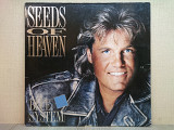 Вінілова платівка Blue System – Seeds Of Heaven 1991