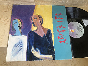 Adrian Belew ( King Crimson, Nine Inch Nails , Tom Tom Club ) – Desire Caught By The Tail ( USA ) LP
