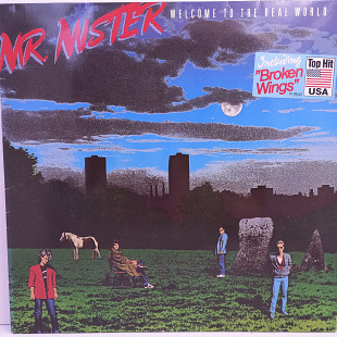 Mr. Mister – Welcome To The Real World LP 12" (Прайс 28214)
