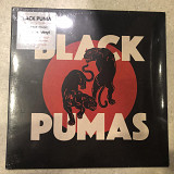 Black Pumas – Black Pumas LP Вініл Запечатаний ( Конверт NM)