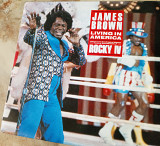 James Brown - Living in America (Holland'1985)