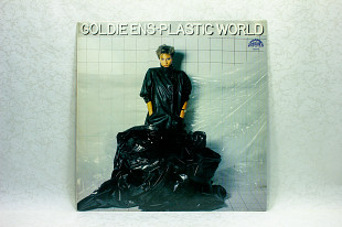 Goldie Ens - Plastic World LP 12" Supraphon