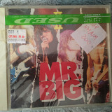 Mr. Big – Live! Raw Like Sushi II 1990 (JAP)