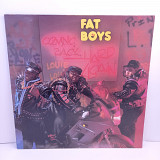 Fat Boys – Coming Back Hard Again LP 12" (Прайс 42476)