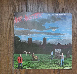 Mr. Mister – Welcome To The Real World LP 12", произв. Europe