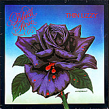 Thin Lizzy - Black Rose (A Rock Legend)