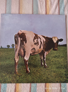 Pink floyd "Atom heart mother".