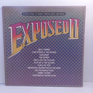 Various – Exposed II: A Cheap Peek At Today's Provocative New Rock 2LP 12" (Прайс 28937)