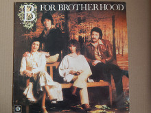 Brotherhood Of Man ‎– B For Brotherhood (Pye Records ‎– NSPL 18567, India) EX+/NM-