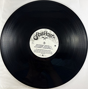 BossHoss - Hot In Herre / Like Ice In The Sunshine (Island Records none) 12" House