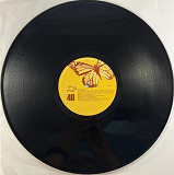 Mr. A.L.I. Featuring Carla Prather - That Feeling (Nite Life Collective NLC40) 12" House, Deep House