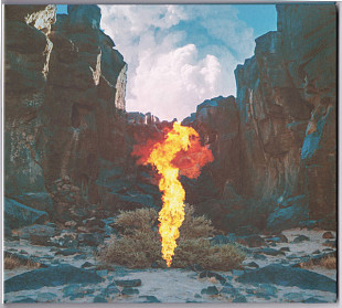 Bonobo – Migration