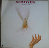 Strawbs ‎– Hero And Heroine (A&M Records ‎– AMLH 63607, Holland) inner sleeve EX+/NM-