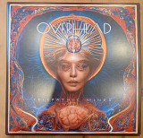 Overheard - Telepathic Minds 2 LP NM + / NM + АКЦИЯ - 20 %