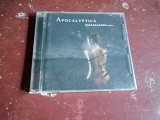 Apocalyptica Reflections