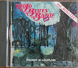Mojo Blues Band – «Midnight In Swampland»