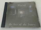 Flying - The Heir Of The Future