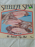 Steeleye span/all around my hat/1975