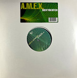 A.M.E.X. - Rich You Bitch (Trigger Records, BMG Ariola München GmbH TRIGGER 2/99, 74321 69552 1) 12"