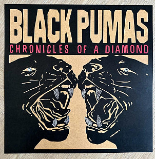 Black Pumas – Chronicles Of A Diamond (Red Vinyl)