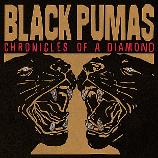 Black Pumas – Chronicles Of A Diamond