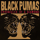 Black Pumas – Chronicles Of A Diamond