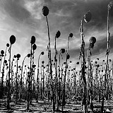 Dead Can Dance - Anastasis (2LP, Album, Limited Edition, Reissue, 180 Gram, Vinyl)