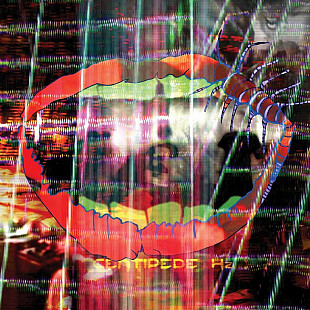 Animal Collective – Centipede Hz (LP, Album)