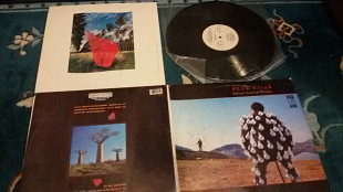 Pink Floyd – Delicate Sound Of Thunder (2LP)