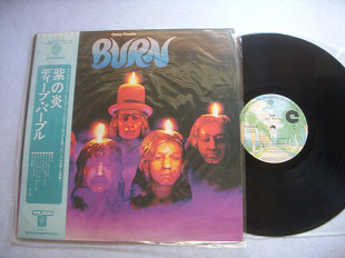 Deep Purple ( Japan )