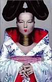 Björk – Homogenic