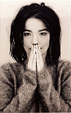 Björk – Debut