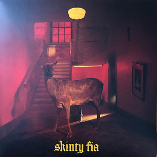 Fontaines D.C. – Skinty Fia