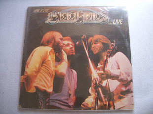 Bee Gees ( 2 LP )