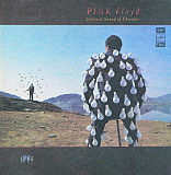 Pink Floyd - Delicate Sound Of Thunder #2 1990 Psychedelic Rock, Prog Rock USSR 1 12 VG/VG-