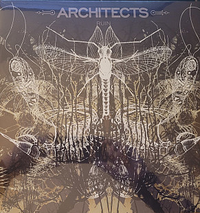 Architects – Ruin