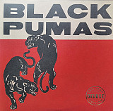 Вінілова платівка Black Pumas – Black Pumas 2LP Deluxe кольоровий