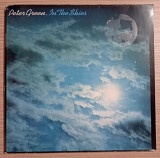 PETER GREEN In The Skies