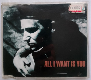 CD U2 – All I Want Is You (1989, Island Rec P19D-10037, Japan)