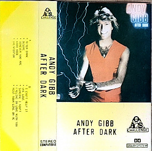 Andy Gibb – After Dark